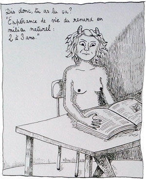 Espérance de vie d'un renard