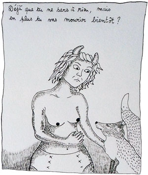 Espérance de vie d'un renard