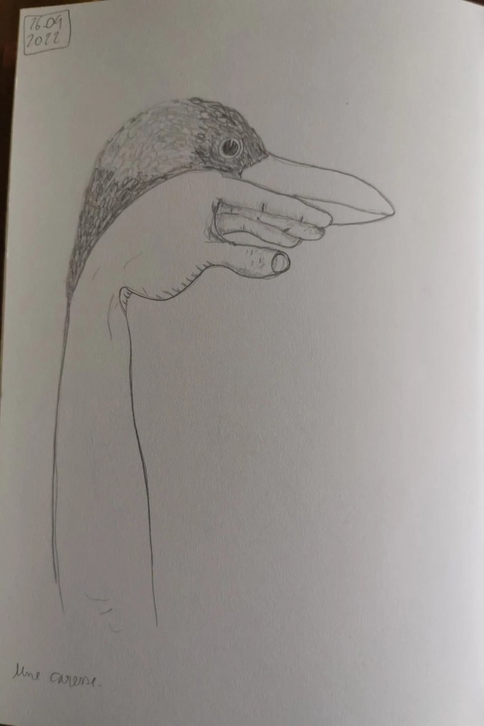 Carnet #6 - Pauline Buzy